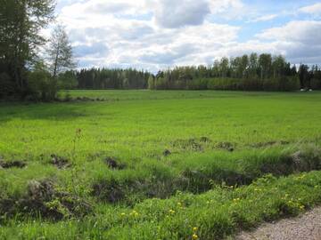 Фото номера Вилла Виллы Villa Kallionsyrjä г. Metsäkylä 47