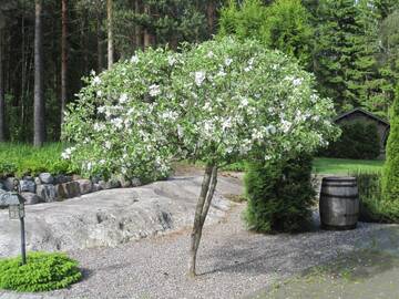 Фото номера Вилла Виллы Villa Kallionsyrjä г. Metsäkylä 26