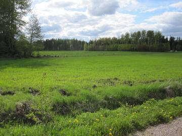 Фото номера Вилла Виллы Villa Kallionsyrjä г. Metsäkylä 29