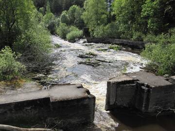 Фото номера Вилла Виллы Villa Kallionsyrjä г. Metsäkylä 37